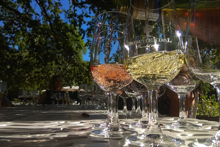 Cape Town Wine Tour: Stellenbosch & Franschhoek +Tastings & Lunch - Photo 1 of 11